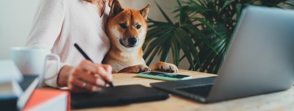 macOS Catalina Factory Reset